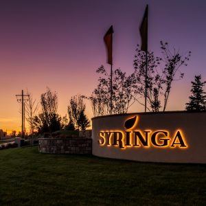 Eagle Idaho Residential Development - Syringa